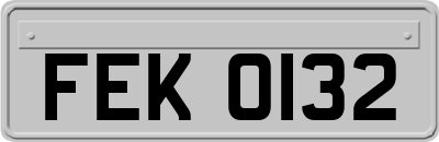 FEK0132
