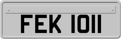 FEK1011