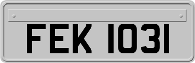 FEK1031