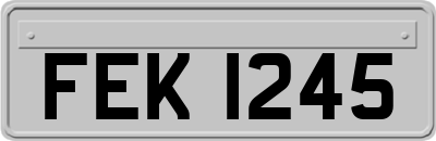 FEK1245