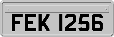 FEK1256