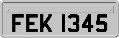 FEK1345