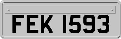 FEK1593