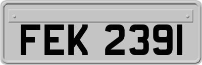 FEK2391