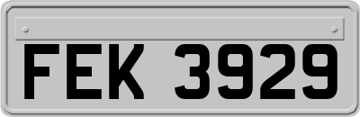FEK3929