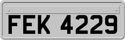 FEK4229