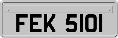 FEK5101