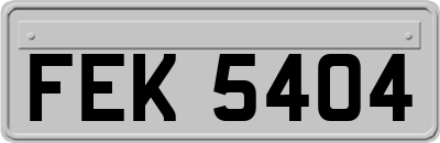 FEK5404