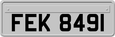 FEK8491