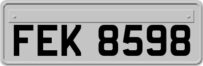 FEK8598