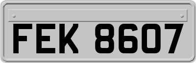 FEK8607