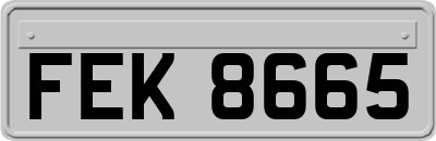 FEK8665