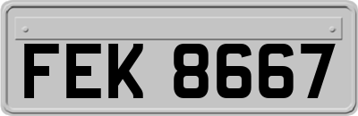 FEK8667