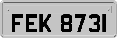 FEK8731