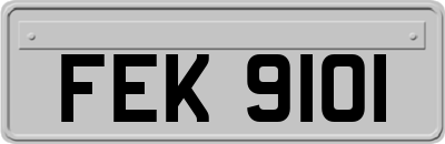 FEK9101