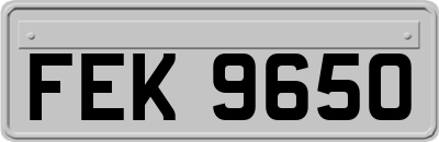 FEK9650