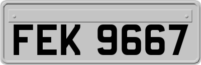 FEK9667