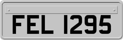 FEL1295