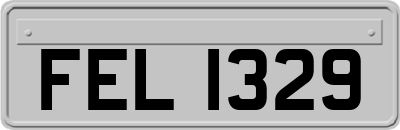 FEL1329