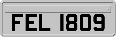 FEL1809