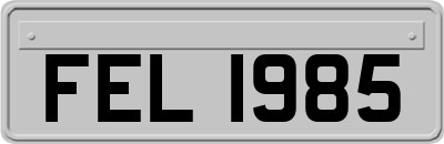 FEL1985