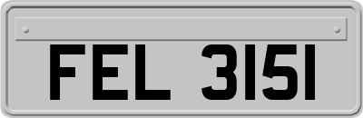 FEL3151