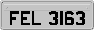 FEL3163