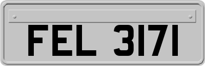 FEL3171