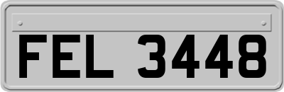 FEL3448