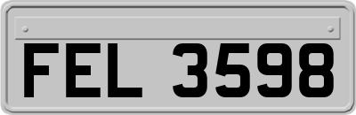 FEL3598