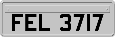FEL3717
