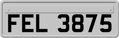 FEL3875