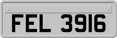 FEL3916