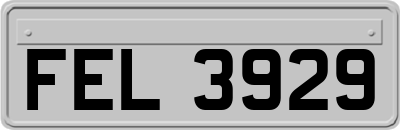 FEL3929
