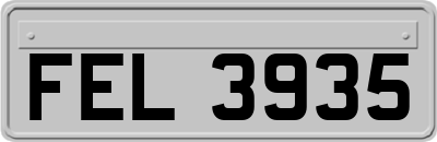FEL3935
