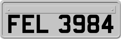 FEL3984