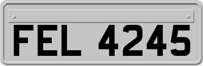 FEL4245