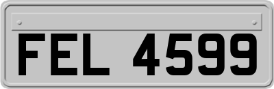FEL4599