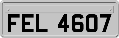 FEL4607