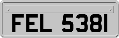 FEL5381