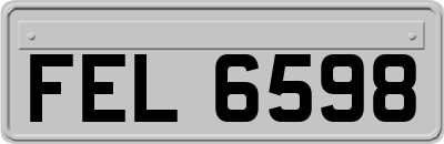 FEL6598