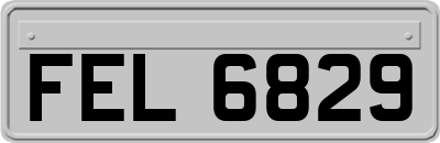FEL6829