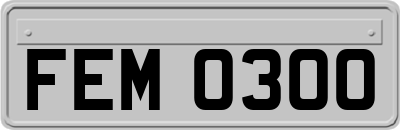 FEM0300