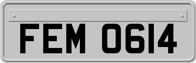 FEM0614