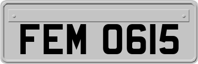 FEM0615