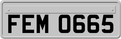 FEM0665