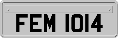 FEM1014