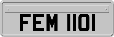 FEM1101