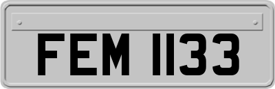 FEM1133