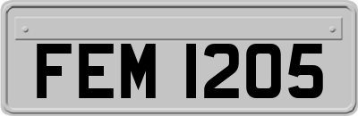 FEM1205